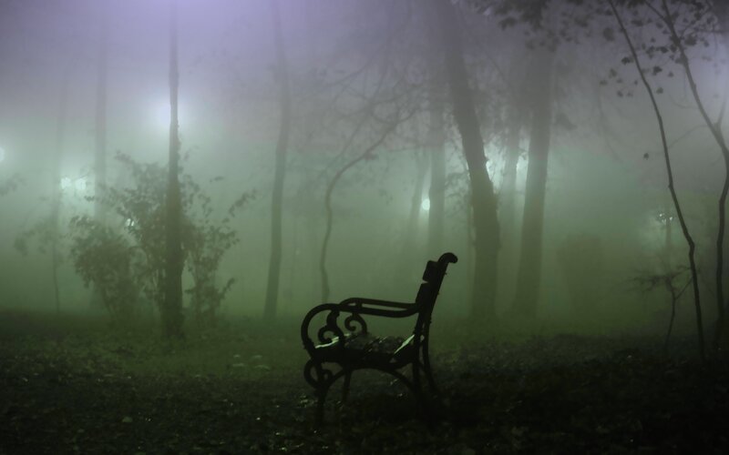 Empty Bench in Fog