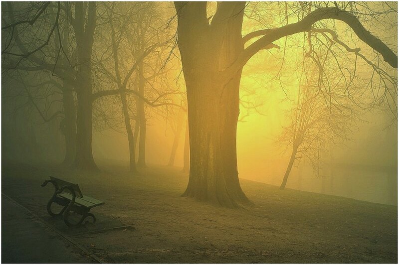 Empty Bench in Fog — Yellow