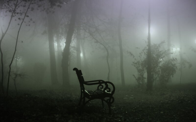 Empty bench in foggy forest