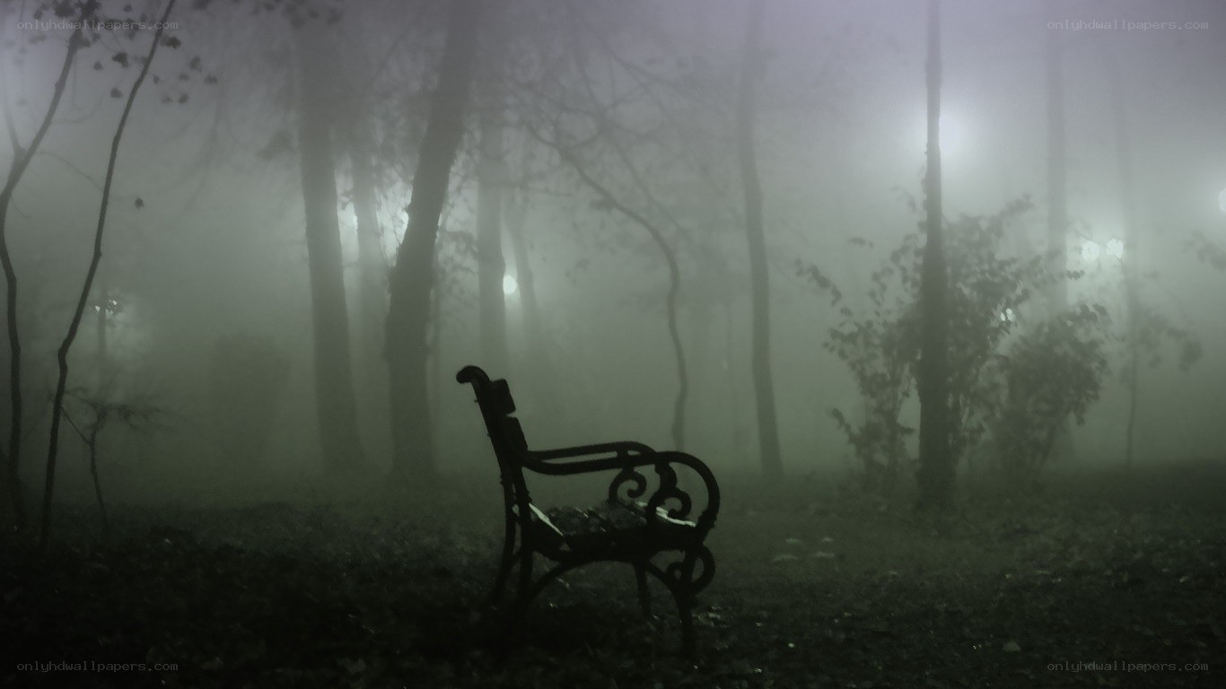 Empty bench in foggy forest