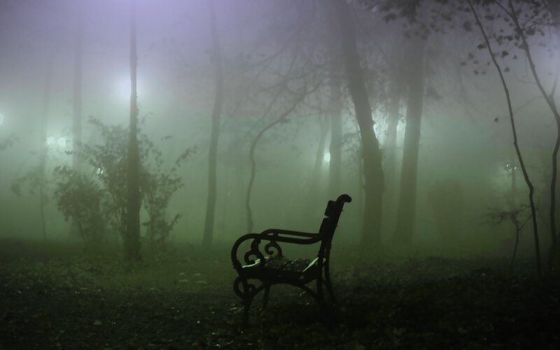Empty bench in foggy park