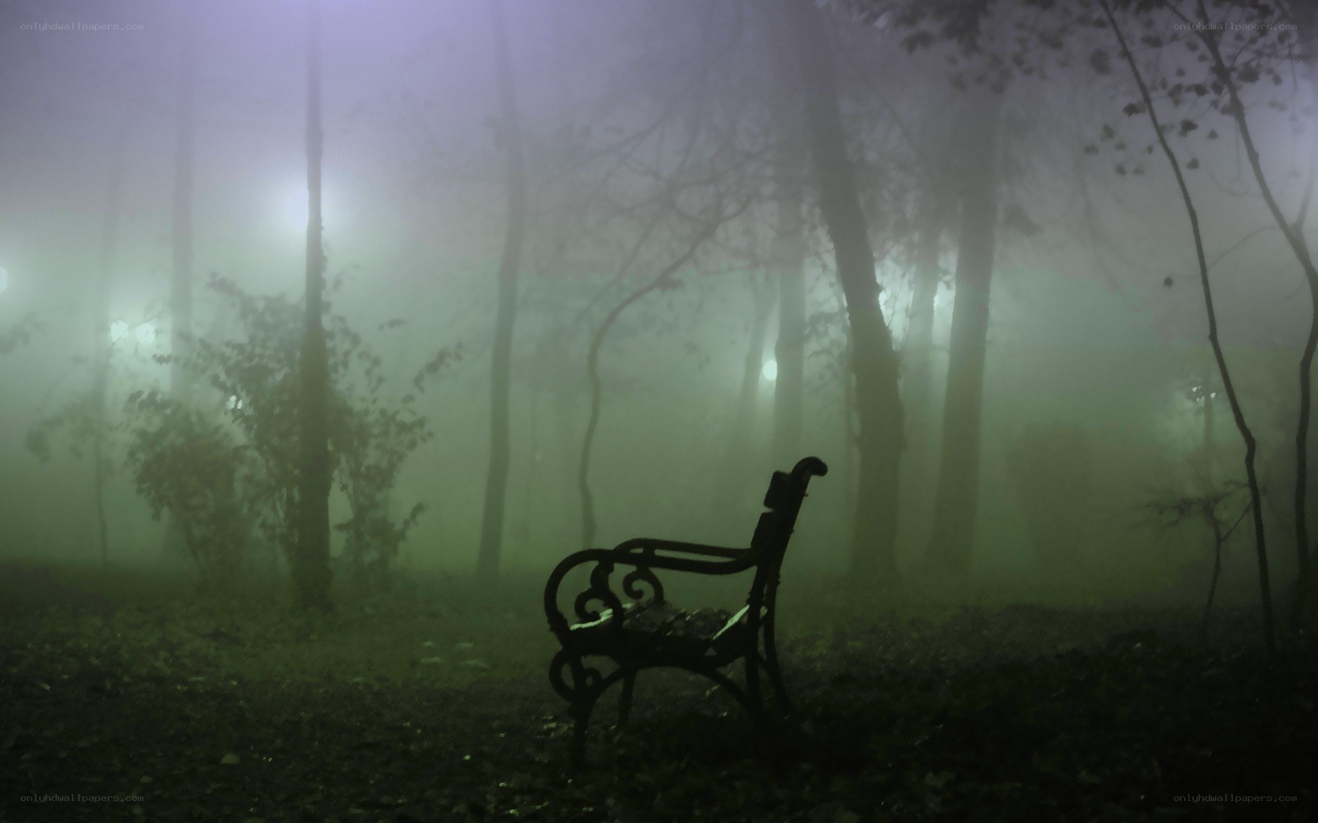 Empty bench in foggy park