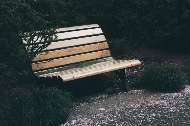 Empty bench in garden