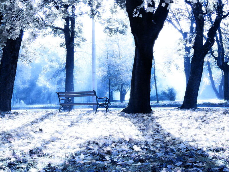 Empty Bench in Park — Blue