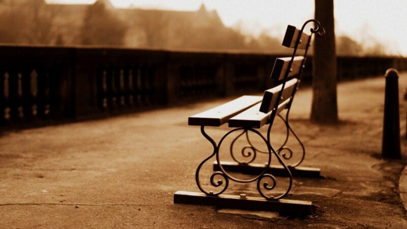 Empty Bench in Park — Brown