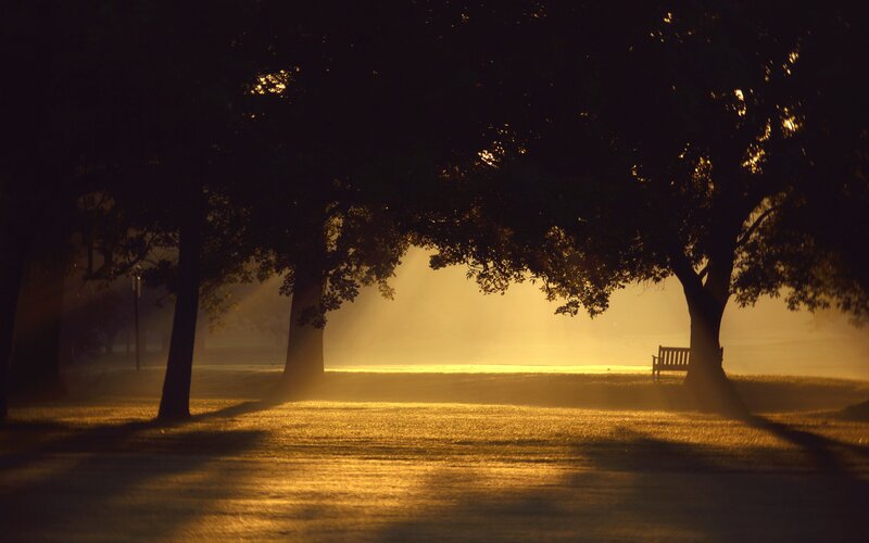 Empty Bench in Park — Gold, Serene, Morning