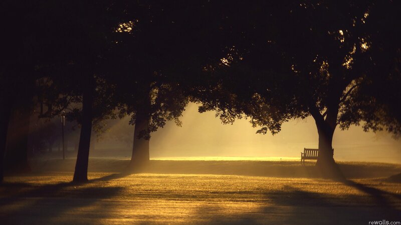 Empty Bench in Park — Gold, Serene, Sunset