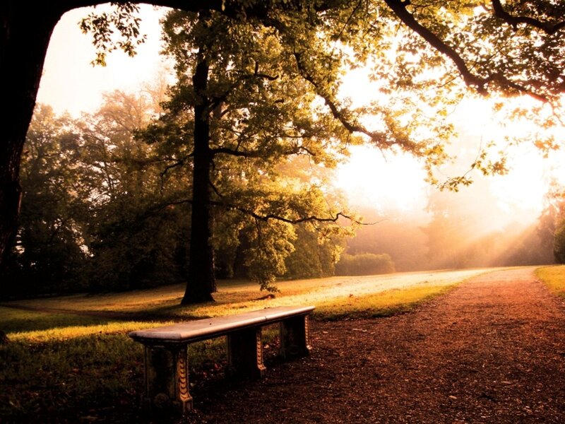 Empty Bench in Park — Gold