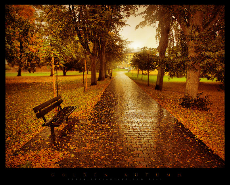 Empty Bench in Park — Golden