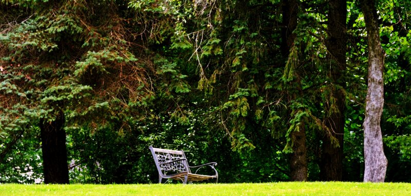 Empty Bench in Park — Green, Serene, Afternoon