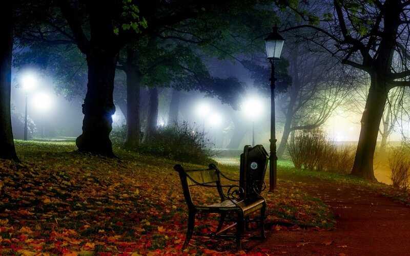 Empty Bench in Park — Green, Serene, Night, Photograph, Lamppost