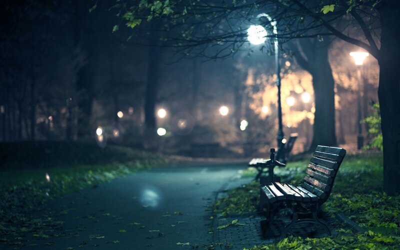 Empty Bench in Park — Green, Serene, Night, Photograph