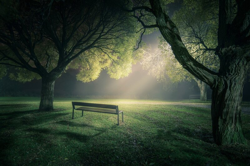 Empty Bench in Park — Green, Serene, Night, Photograph, Trees