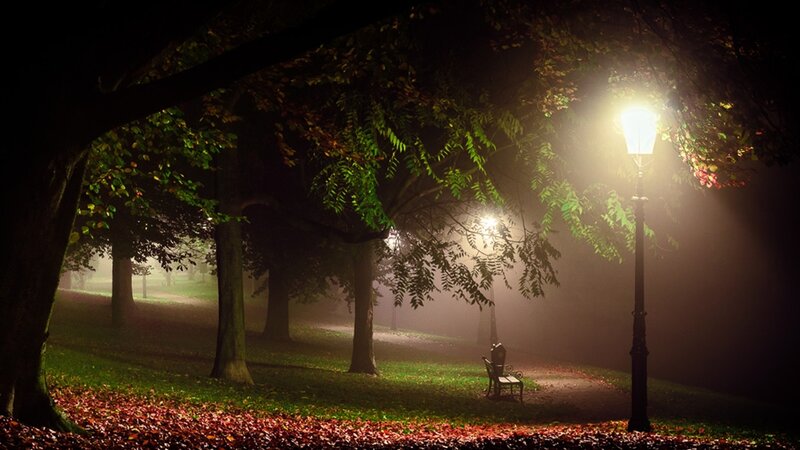 Empty Bench in Park — Green, Serene, Night