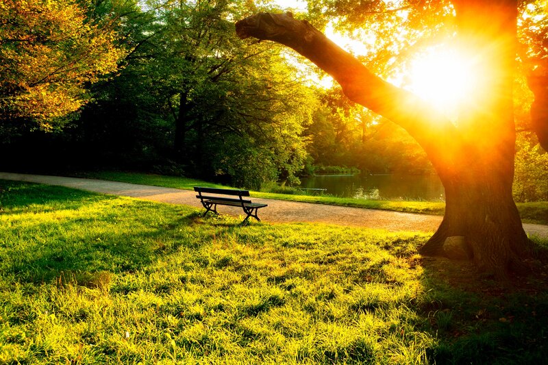 Empty Bench in Park — Green, Serene, Sunset, Photograph