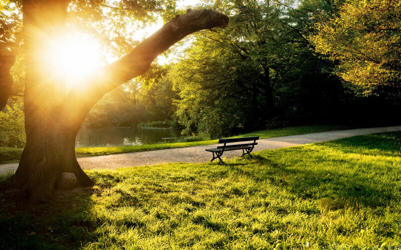 Empty Bench in Park — Green, Serene, Sunset