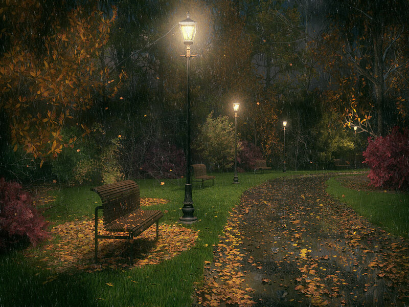 Empty Bench in Park — Green, Serene
