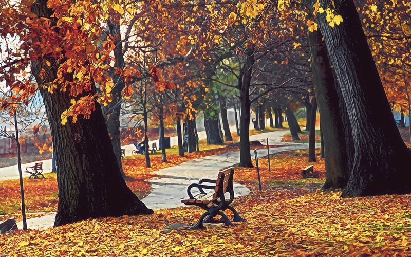 Empty Bench in Park — Orange, Serene, Autumn, Painting