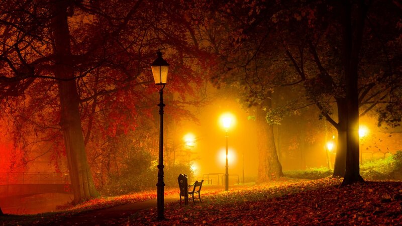 Empty Bench in Park — Orange, Serene, Night, Photograph, Lampposts