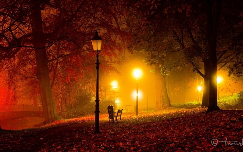 Empty Bench in Park — Orange, Serene, Night, Photograph, Lampposts, Trees