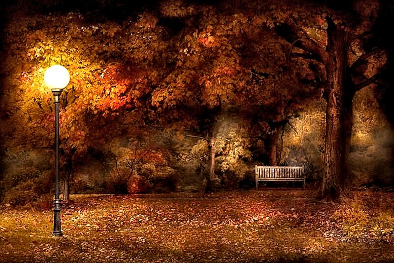 Empty Bench in Park — Orange, Serene, Night, Photograph, Street Lamp