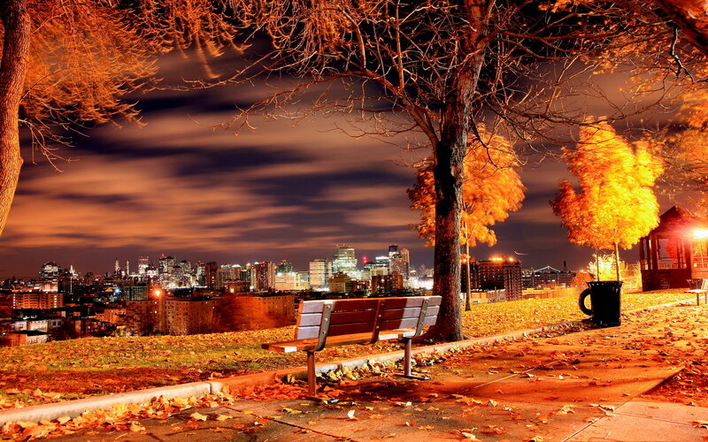 Empty Bench in Park — Orange, Serene, Night, Photograph