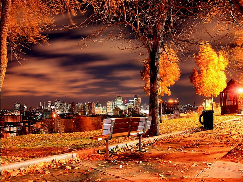 Empty Bench in Park — Orange, Serene, Night