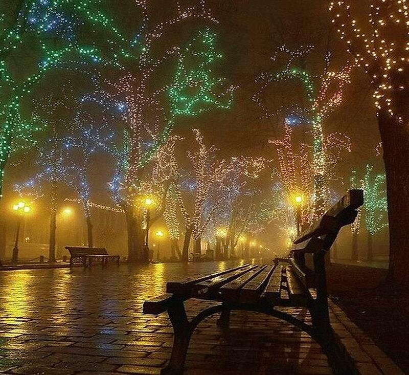 Empty Bench in Park