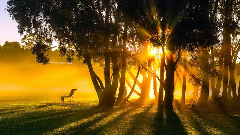 Empty Bench in Park — Yellow, Serene, Sunrise