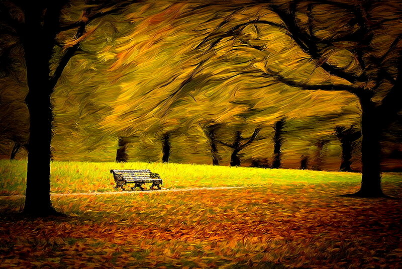 Empty Bench in Park — Yellow, Serene