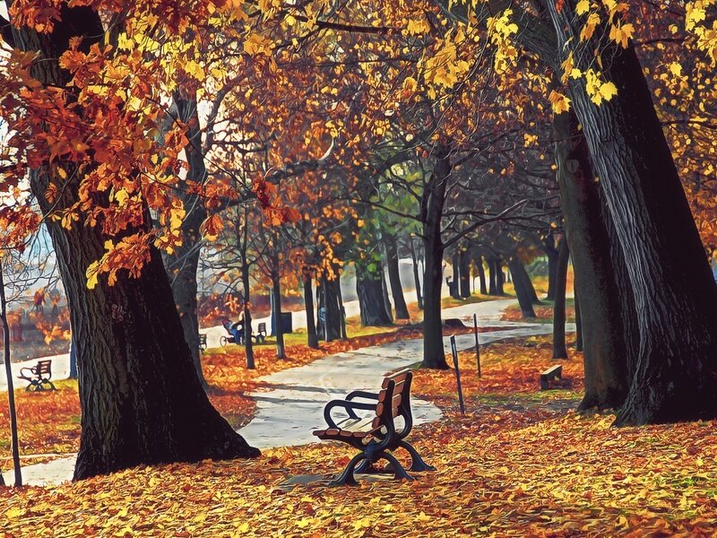 Empty Bench in Park — Yellow