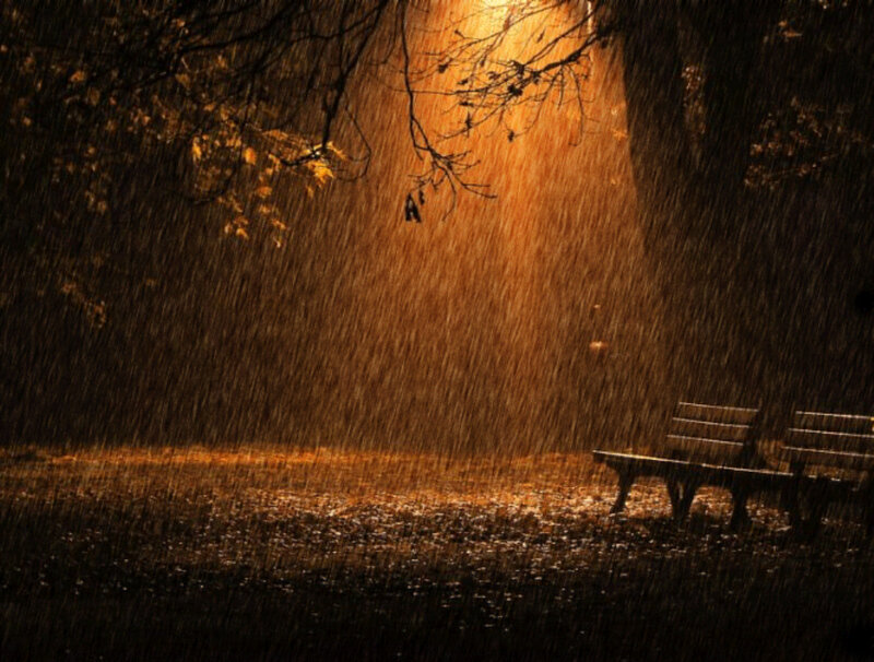 Empty Bench in Rain
