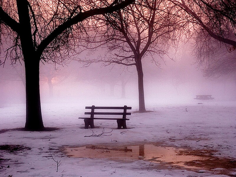 Empty Bench in Snow — Purple, Misty