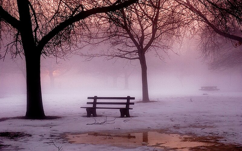 Empty Bench in Snow — Purple