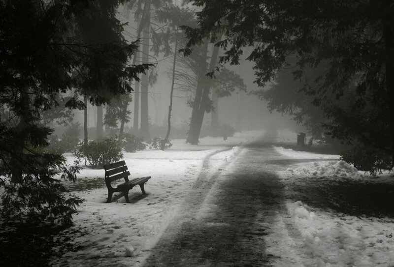 Empty Bench in Snow