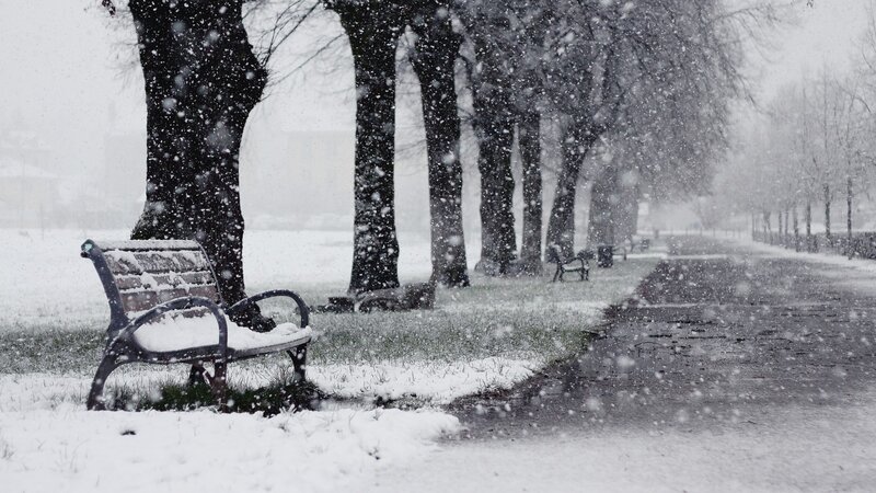 Empty Bench in Snow — White