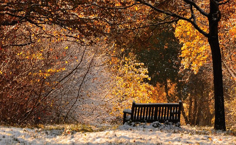 Empty Bench in Snow — Yellow