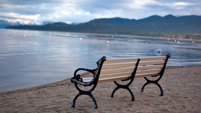 Empty Bench on Beach — Brown