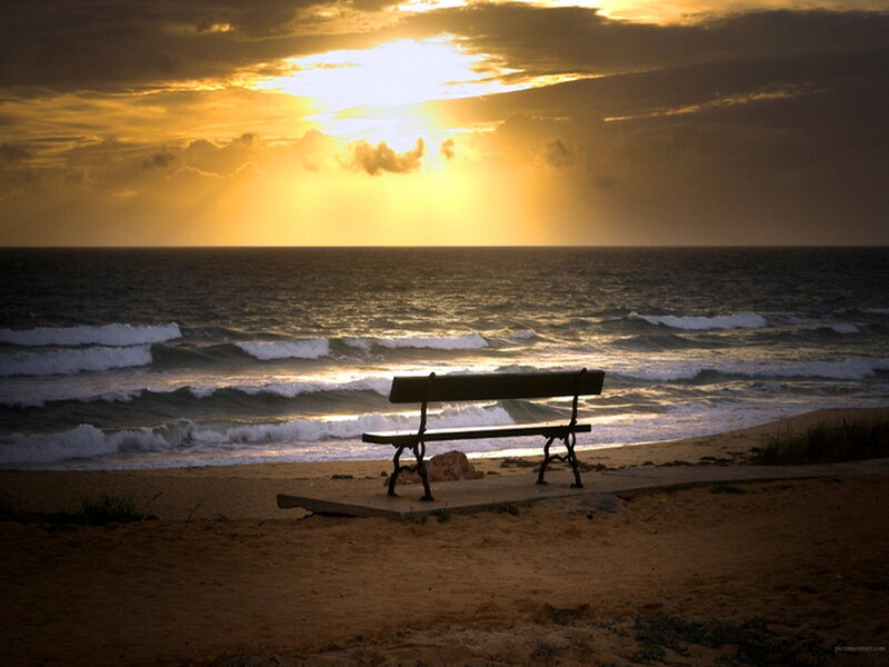 Empty Bench on Beach — Gold, Dramatic