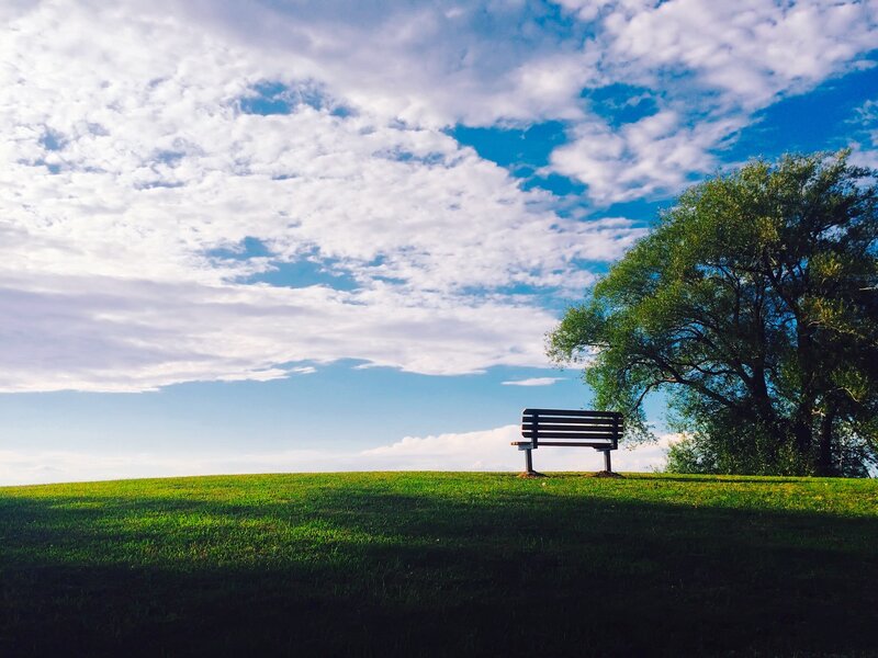 Empty Bench on Hill