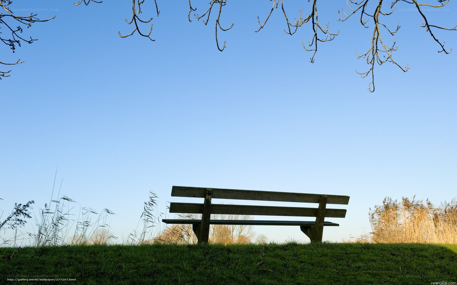 Empty bench under blue sky