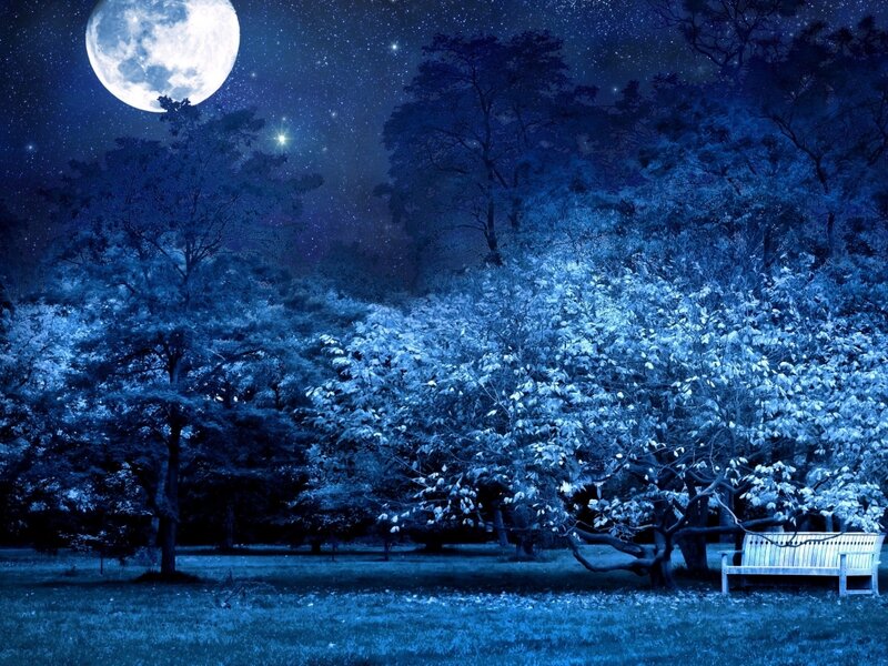 Empty Bench under Moon