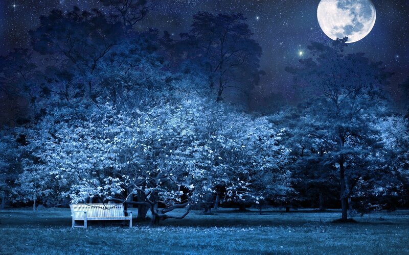 Empty Bench under Moonlight — Blue, Serene, Night