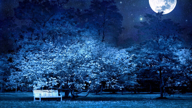 Empty Bench under Moonlight — Blue, Serene