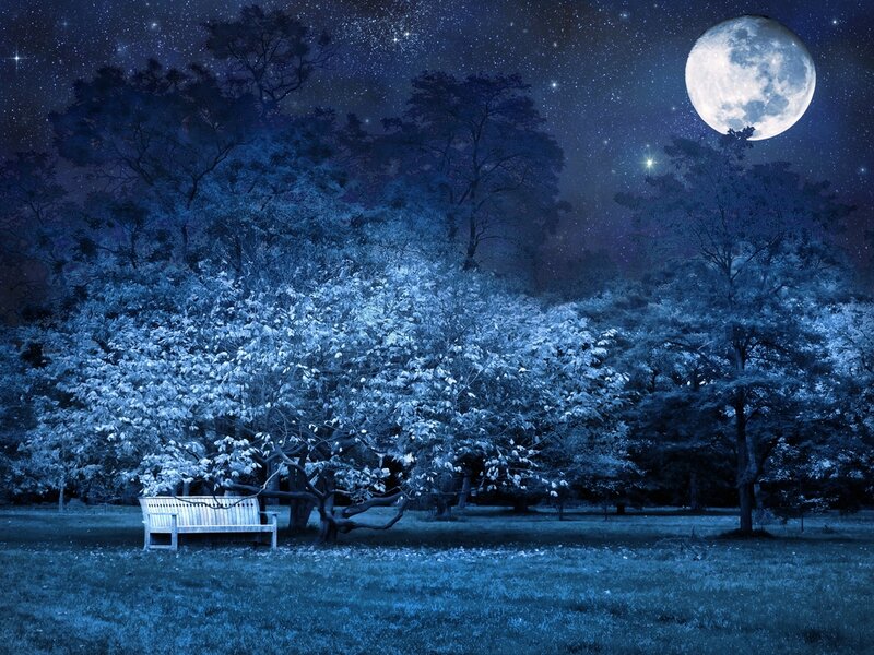 Empty Bench under Moonlight — Blue