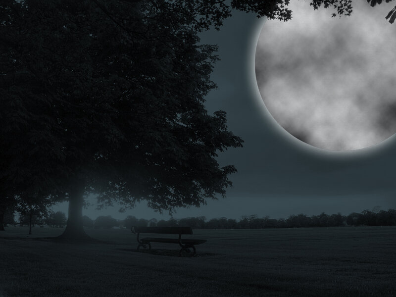 Empty Bench under Tree — Black, Moody, Mysterious