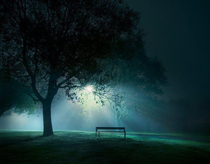 Empty Bench under Tree
