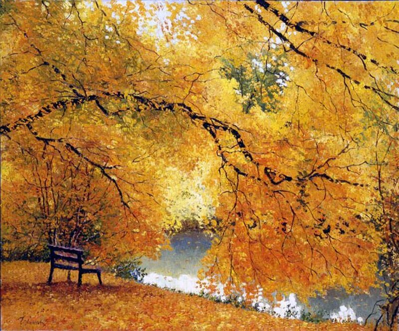 Empty Bench under Trees