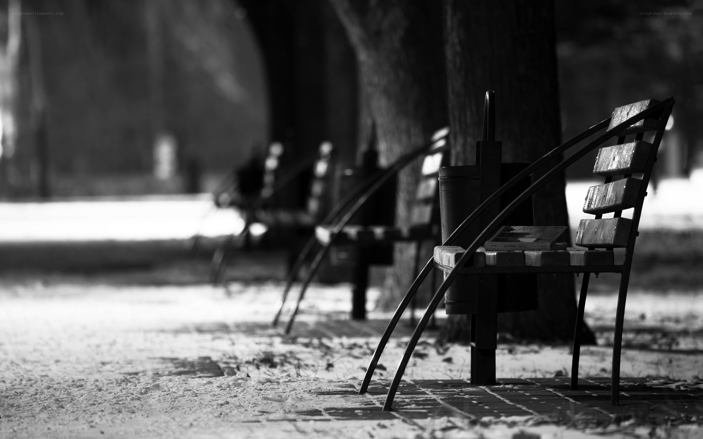 Empty benches in a snowy park