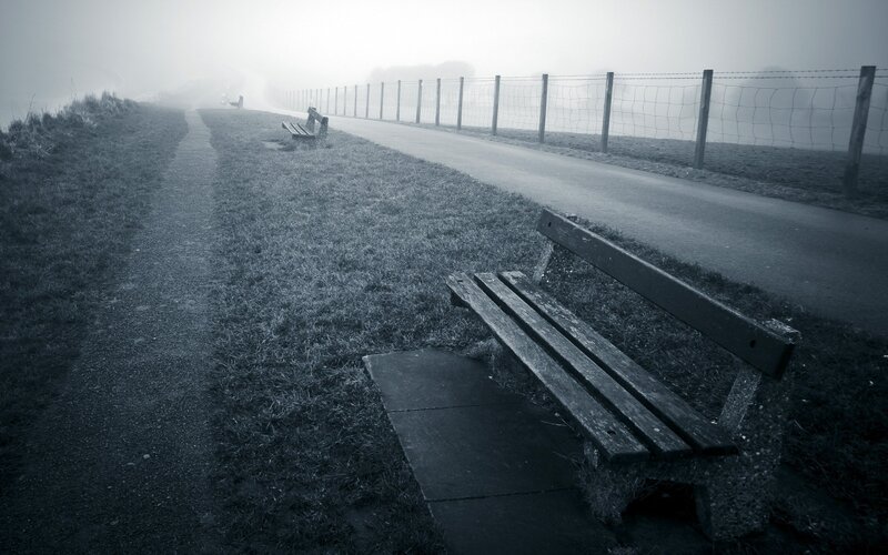 Empty Benches in Fog